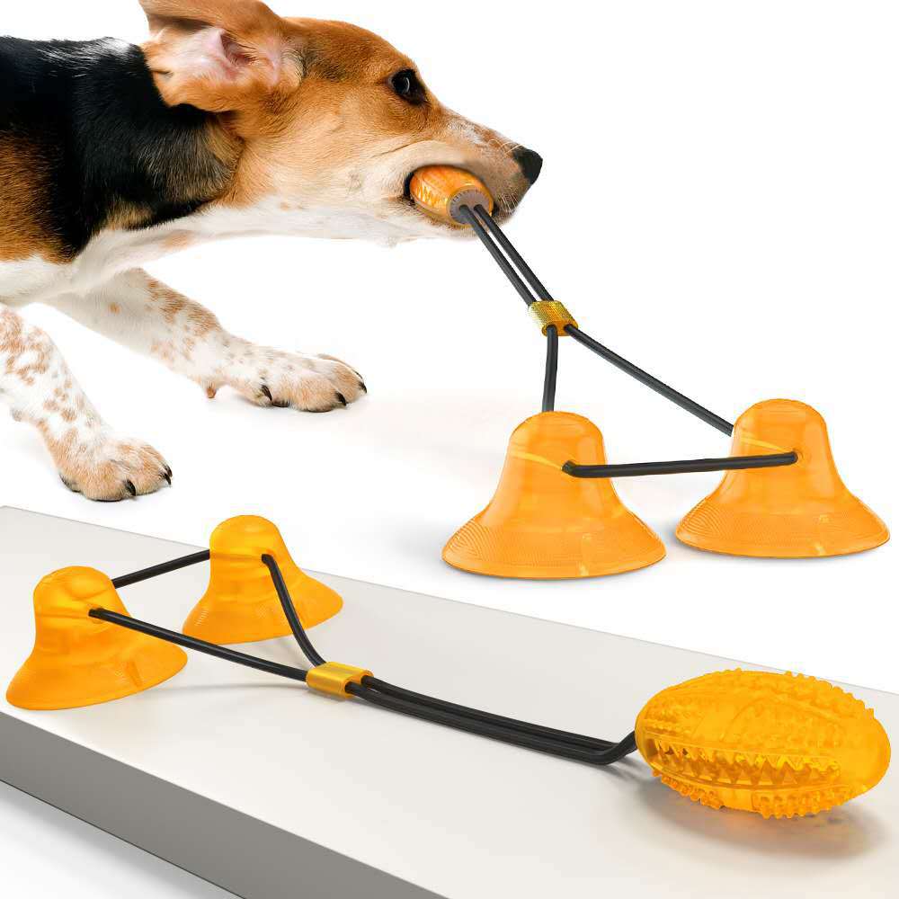 Suction Cup Pets Toys - kmtell.com