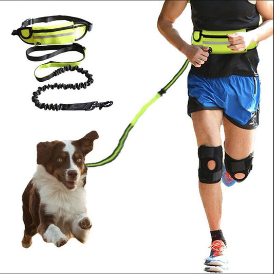 Hands Free Dog Leash Pet Walking And Training Belt With Shock Absorbing Bungee Leash For Up To 180lbs Large Dogs Phone Pocket And Water Bottle Holder - kmtell.com